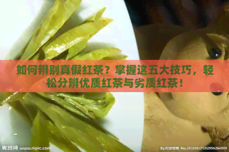 如何辨别真假红茶？掌握这五大技巧，轻松分辨优质红茶与劣质红茶！