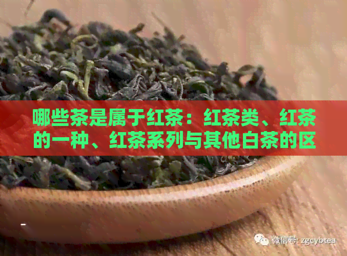 哪些茶是属于红茶：红茶类、红茶的一种、红茶系列与其他白茶的区别