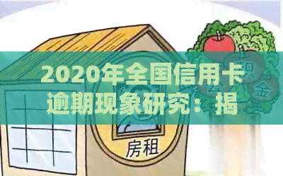 2020年全国信用卡逾期现象研究：揭示信用数据背后的风险与挑战