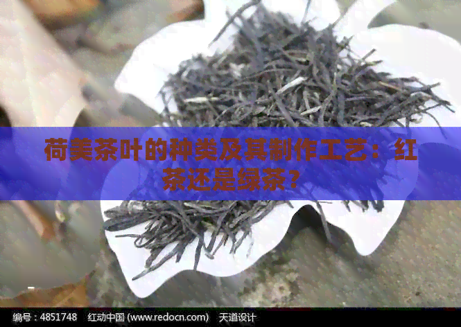 荷美茶叶的种类及其制作工艺：红茶还是绿茶？