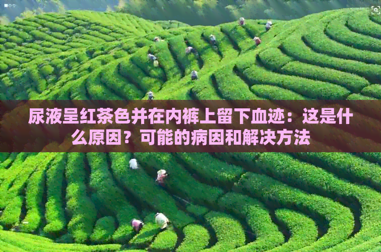 尿液呈红茶色并在     上留下血迹：这是什么原因？可能的病因和解决方法