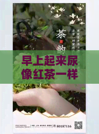 早上起来尿像红茶一样是怎么回事？这种现象正常吗？