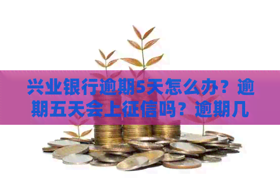 兴业银行逾期5天怎么办？逾期五天会上吗？逾期几天会有利息？