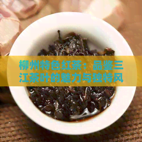 柳州特色红茶：品鉴三江茶叶的魅力与独特风味