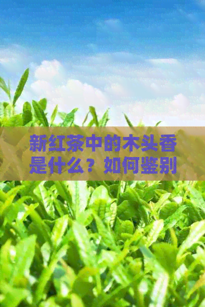 新红茶中的木头香是什么？如何鉴别和品饮这种独特的红茶？