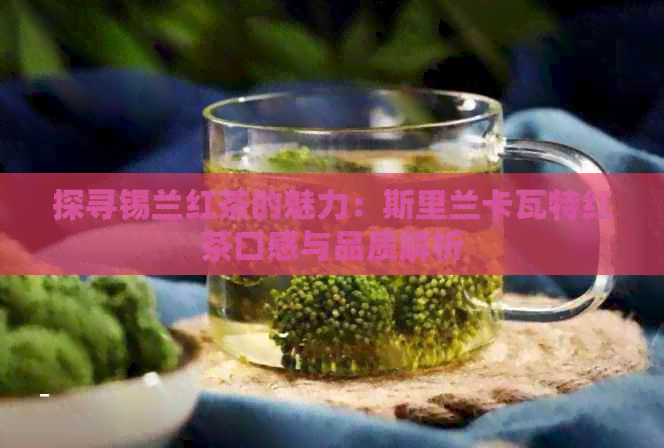 探寻锡兰红茶的魅力：斯里兰卡瓦特红茶口感与品质解析