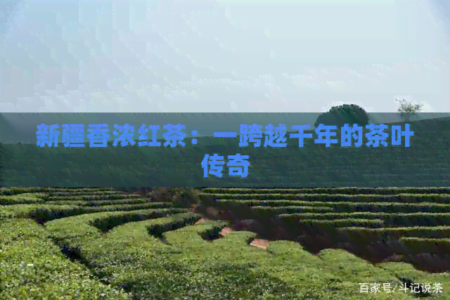 新疆香浓红茶：一跨越千年的茶叶传奇