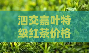 泗交嘉叶特级红茶价格 - 茶叶品种与市场行情一览