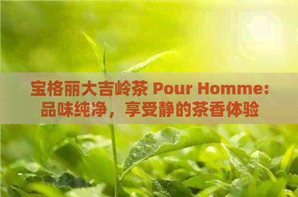 宝格丽大吉岭茶 Pour Homme:品味纯净，享受静的茶香体验