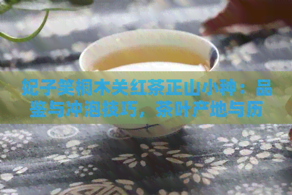 妃子笑桐木关红茶正山小种：品鉴与冲泡技巧，茶叶产地与历背景详解