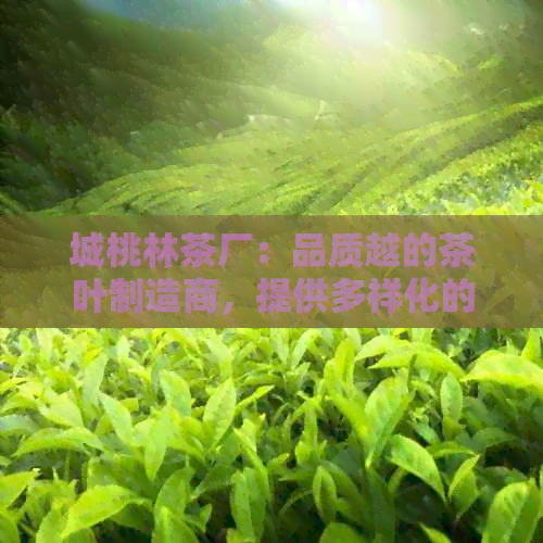 城桃林茶厂：品质越的茶叶制造商，提供多样化的茶叶产品和优质的服务