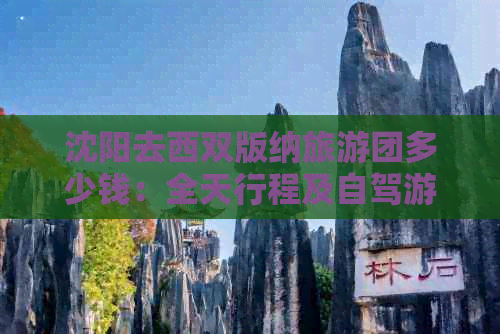 沈阳去西双版纳旅游团多少钱：全天行程及自驾游攻略