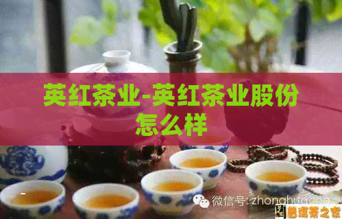 英红茶业-英红茶业股份怎么样