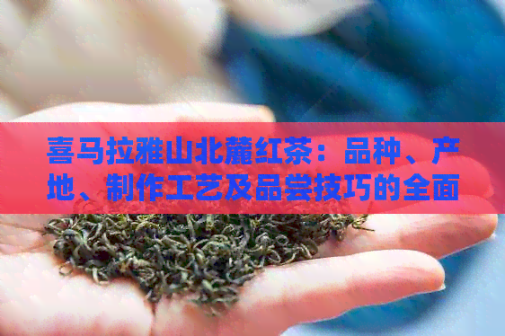 喜马拉雅山北麓红茶：品种、产地、制作工艺及品尝技巧的全面指南