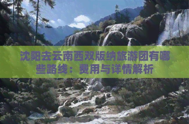 沈阳去云南西双版纳旅游团有哪些路线：费用与详情解析