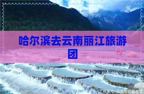 哈尔滨去云南丽江旅游团