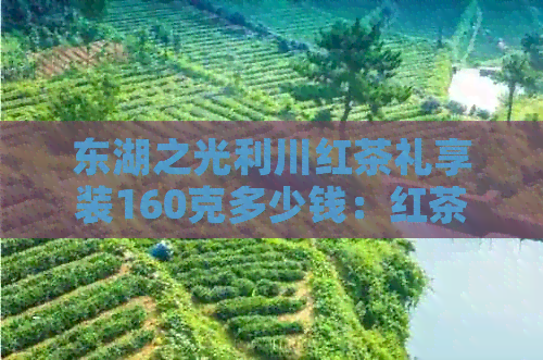 东湖之光利川红茶礼享装160克多少钱：红茶价格、2018东湖活动详情