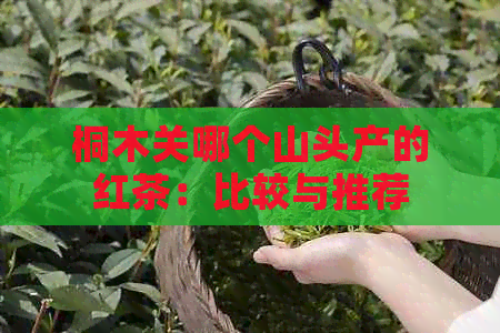 桐木关哪个山头产的红茶：比较与推荐