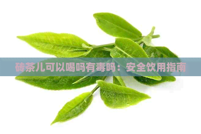 砖茶儿可以喝吗有吗：安全饮用指南