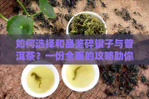 如何选择和品鉴碎银子与普洱茶？一份全面的攻略助你成为茶艺达人