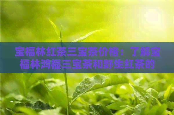 宝福林红茶三宝茶价格：了解宝福林鸿福三宝茶和野生红茶的价格。