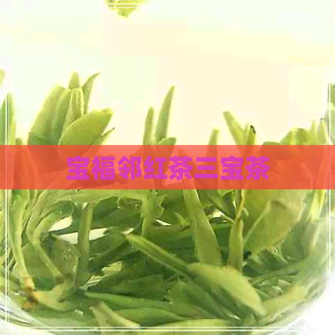 宝福邻红茶三宝茶