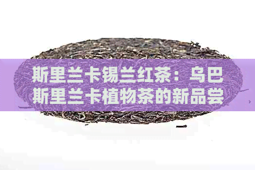 斯里兰卡锡兰红茶：乌巴斯里兰卡植物茶的新品尝