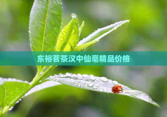 东裕茗茶汉中仙毫精品价格