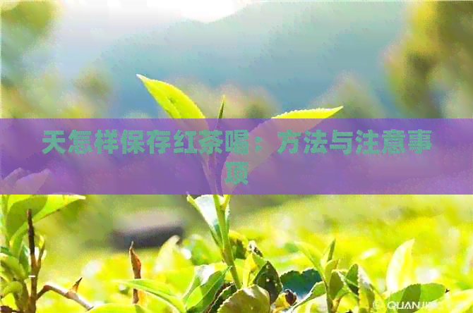 天怎样保存红茶喝：方法与注意事项