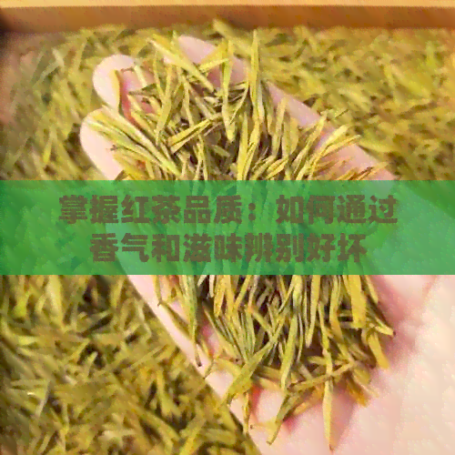 掌握红茶品质：如何通过香气和滋味辨别好坏