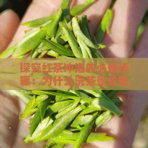 探究红茶冲泡的必备步骤：为什么洗茶是关键