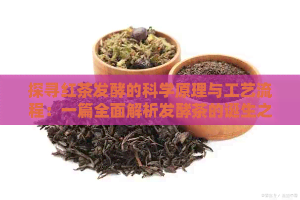 探寻红茶发酵的科学原理与工艺流程：一篇全面解析发酵茶的诞生之路