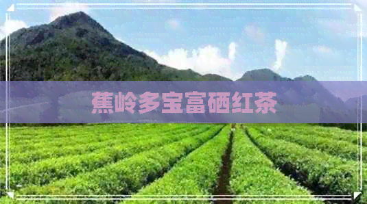 蕉岭多宝富硒红茶