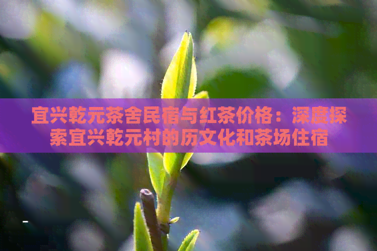 宜兴乾元茶舍民宿与红茶价格：深度探索宜兴乾元村的历文化和茶场住宿