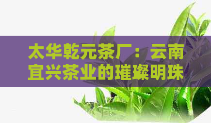 太华乾元茶厂：云南宜兴茶业的璀璨明珠