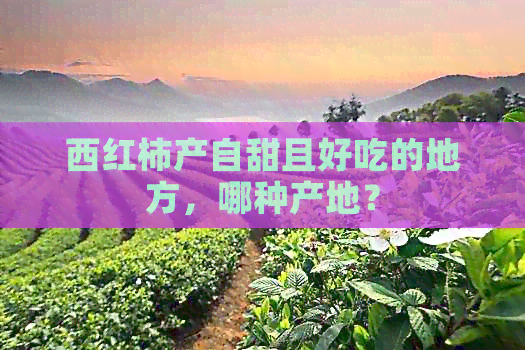 西红柿产自甜且好吃的地方，哪种产地？