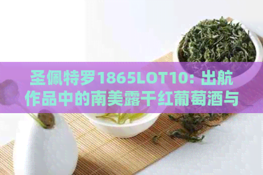 圣佩特罗1865LOT10: 出航作品中的南美露干红葡萄酒与圣特罗佩内饰