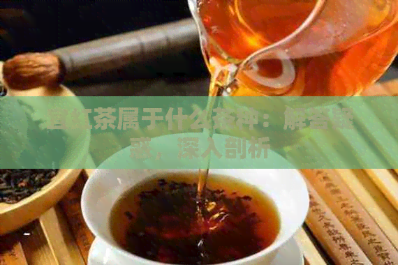 宜红茶属于什么茶种：解答疑惑，深入剖析