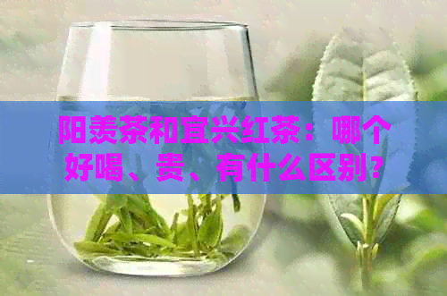 阳羡茶和宜兴红茶：哪个好喝、贵、有什么区别？