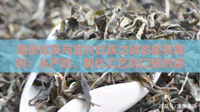 阳羡红茶与宜兴红茶之间的差异解析：从产地、制作工艺到口感的综合比较