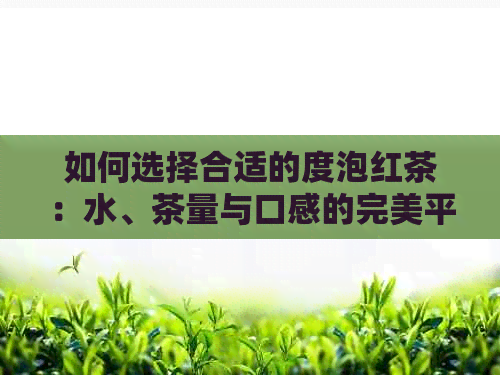 如何选择合适的度泡红茶：水、茶量与口感的完美平