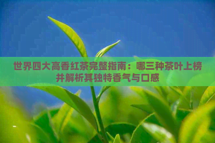 世界四大高香红茶完整指南：哪三种茶叶上榜并解析其独特香气与口感