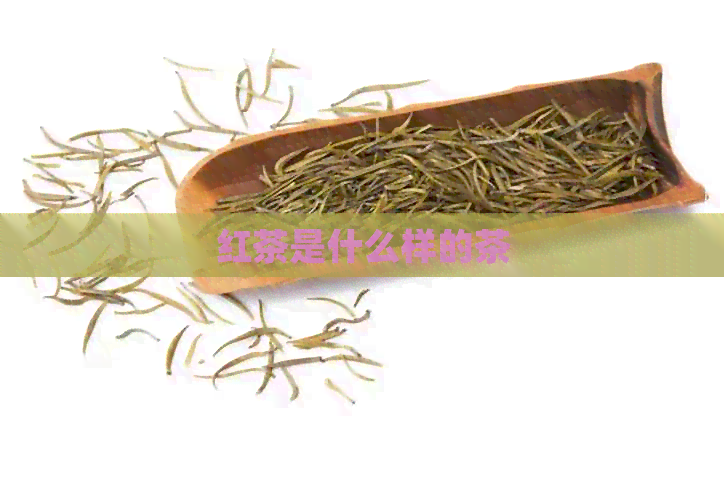 红茶是什么样的茶