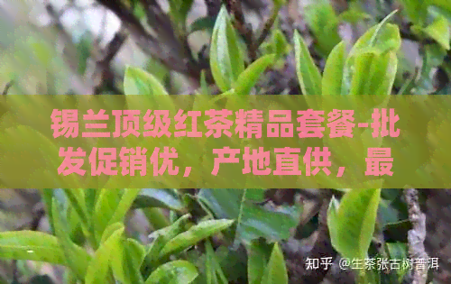 锡兰顶级红茶精品套餐-批发促销优，产地直供，最新报价