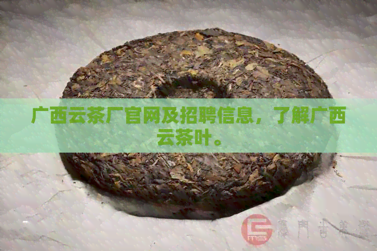 广西云茶厂官网及招聘信息，了解广西云茶叶。