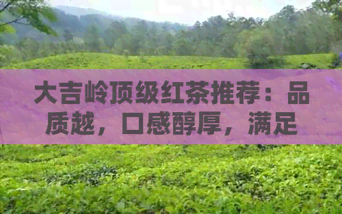 大吉岭顶级红茶推荐：品质越，口感醇厚，满足您的品茗需求