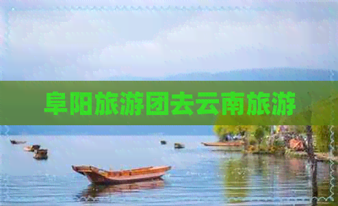 阜阳旅游团去云南旅游