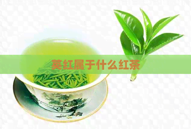 英红属于什么红茶