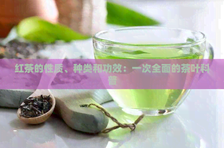 红茶的性质、种类和功效：一次全面的茶叶科普