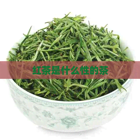 红茶是什么性的茶